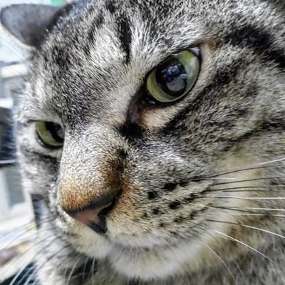 まおちん無用ノ介さんのプロフィール画像