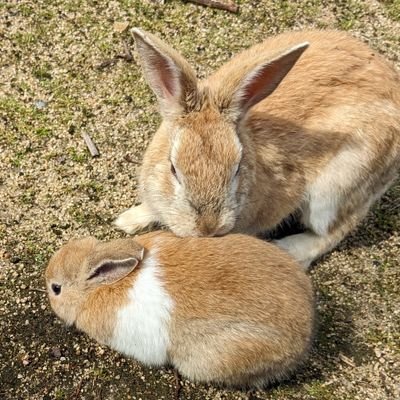 shun2072304's profile picture. B4土木学科