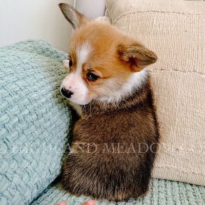 Sir_WinstonP's profile picture. 