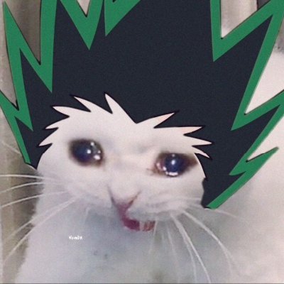 kiwimotoo's profile picture. sidon is my baby