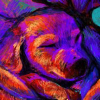 eepygg (@eepygg) 's Twitter Profile