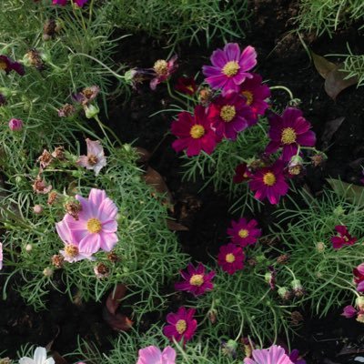 AeMmM's profile picture. ✨