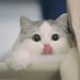 u_u (@uu2boss) Twitter profile photo u_u (@uu2boss) Twitter profile photo