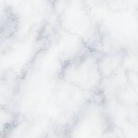 neko (@nyank_trhk) 's Twitter Profile