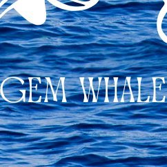 GemWhaIe's profile picture. 🔍 Finding hidden gems in the rough.  
📊 Data-driven crypto research & insights.