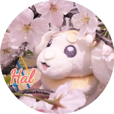 訪問ありがとうございます🐰🌕タイムラインを追うのが大変なので、こちらは相互さん少なめです(⁎ᴗ͈ˬᴗ͈⁎) 日常雑多垢。デジカメイン→七瀬(@nanase_digica)