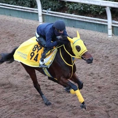 GoldAllure33's profile picture. いまは滋賀県人です。 馬乗ってます。
 車は三ヶ月放置しても動くことを知った。
乃木坂とゲームと麻雀。