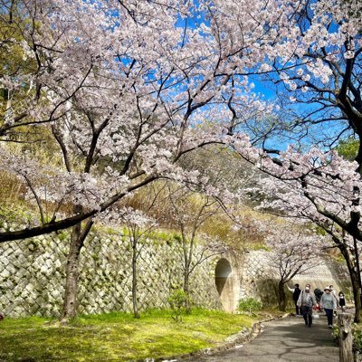 uf9vyahc02's profile picture. https://t.co/jcV7rrQrJD #zkApes #byebyebirdie @DackieSwap Left to Phaver @Carbonable_io @FocusOnVaissel