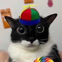 WULF ☆ (@wulfcreature) 's Twitter Profile