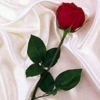 Uğur Bulut (@40bulut40) Twitter profile photo