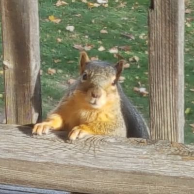 StillCBass's profile picture. what is going on?!