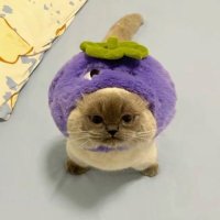 antsy (@antslwd) 's Twitter Profile