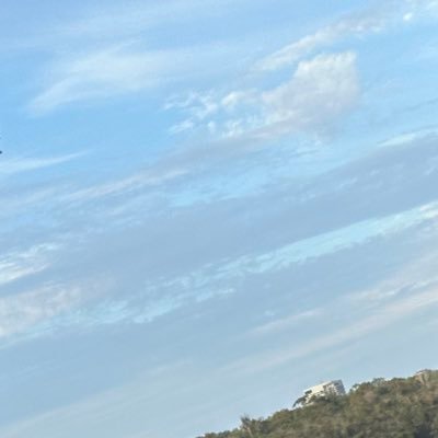 sammfshields's profile picture. 