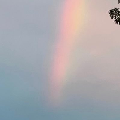 rafasylverse's profile picture. 