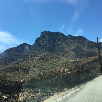 G_di_G's profile picture. Gone