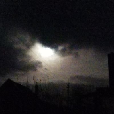 beatdwnn's profile picture. I professionally edit sometimes, Valorant playa, good at other games 2
#1 doxy fan