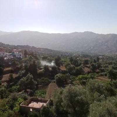 liveinsafe's profile picture. 