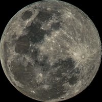 مهـرة (@mhara444) 's Twitter Profile Photo مهـرة (@mhara444) 's Twitter Profile Photo