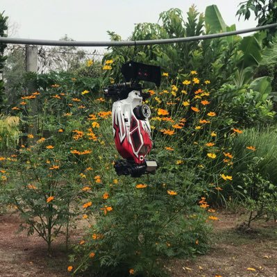 DuyHoan37852797's profile picture. repair phone