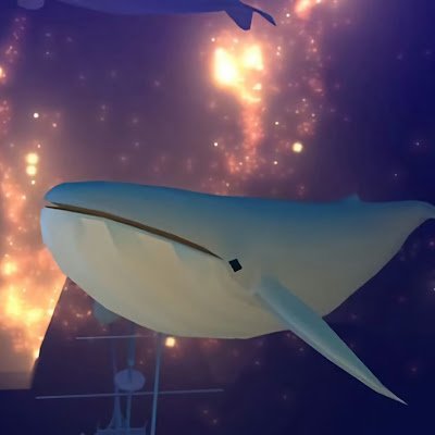 seok5795's profile picture. 