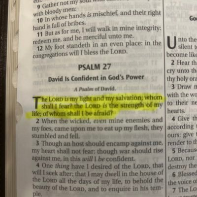 LaurenChoko's profile picture. 