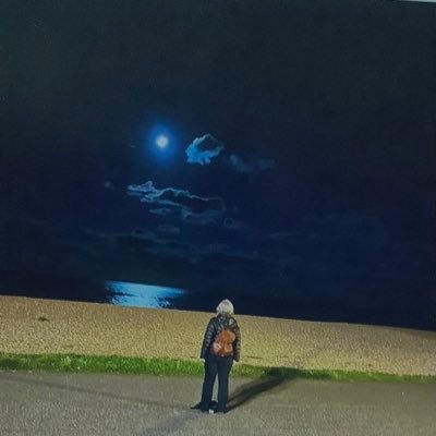 #we only have one planet, story lover, remainer, maybe humanist, vegetarian nearly vegan, don’t stop the music