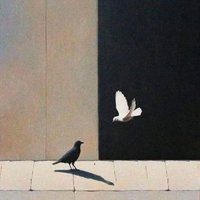 shenko.eth (@shenko_crypt) 's Twitter Profile