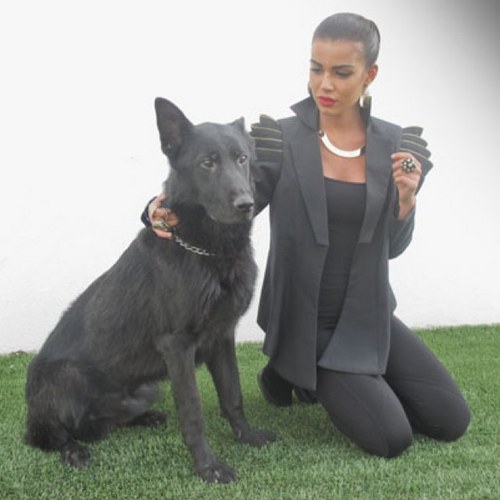 shamasyo's profile picture. 