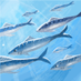sangonana(VRC) (@vrc_sangonana) Twitter profile photo sangonana(VRC) (@vrc_sangonana) Twitter profile photo