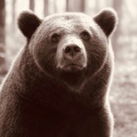 Eric Den (@den282242) 's Twitter Profile Photo