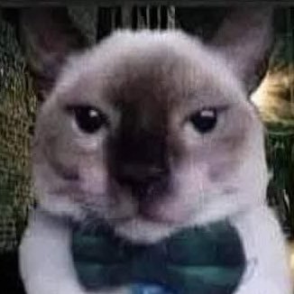 omakla7lak's profile picture. 