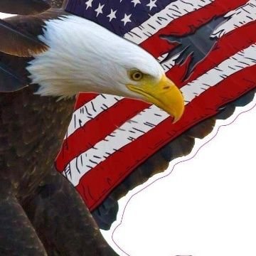RobertD41304354's profile picture. 