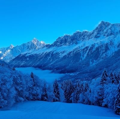 bavo64244's profile picture. 