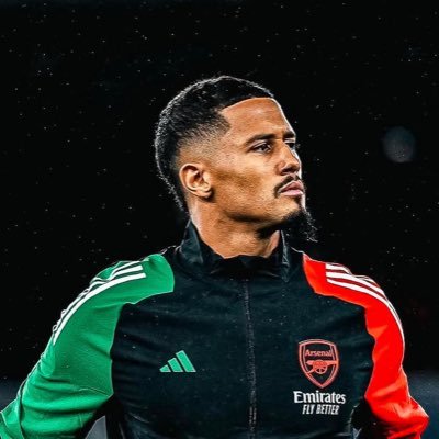 William_Saliba2's profile picture. @arsenal // parody