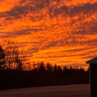 Sandra Kirby (@sandy_mom) 's Twitter Profile Photo
