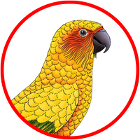 Learning TypeScript (@learningtsbook) 's Twitter Profile