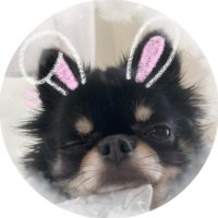 유우 (@yullxz_o1) 's Twitter Profile