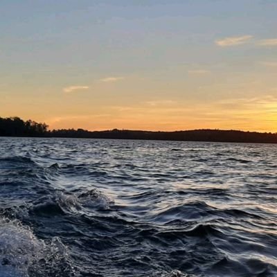 elenafdez164303's profile picture. 