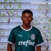 Drew Nenge (@drewnenge) Twitter profile photo Drew Nenge (@drewnenge) Twitter profile photo