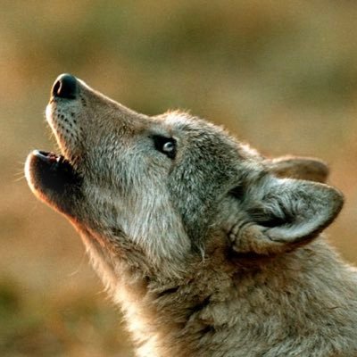 KTV769627922632's profile picture. 