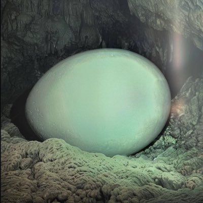 alexflorin100's profile picture. “Any man who must say ‘I am the king’ is no true king.”