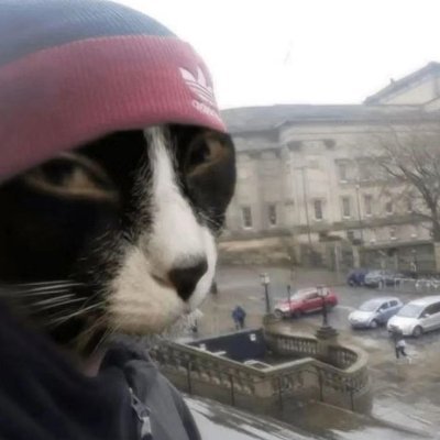 YardKushal's profile picture. 