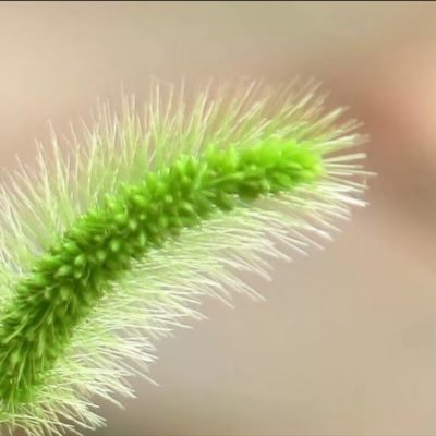 wim888888's profile picture. 娛樂 科學 科技 藝術 音樂 電影 足球 (美式) 體育 高爾夫