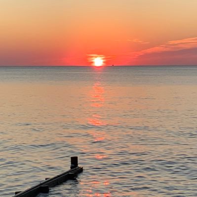 derekjkahle's profile picture. Father of 4, Married WAY out of my league, Wyoming Cowboy, Carolina Tarheel, former fly fisherman,