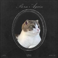 🎂ทวดศรีลิก้า (ติ่งวง Alter ego) (@foronly7l97) 's Twitter Profile