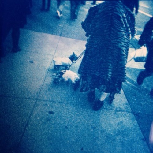 pauliap's profile picture. 