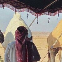 الدوسري (@aldwsrytzu) 's Twitter Profile