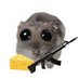 Cheesy Cheesington (@cheesington_) Twitter profile photo Cheesy Cheesington (@cheesington_) Twitter profile photo