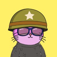 HeadGemHunter (@headgemhunter) 's Twitter Profile Photo HeadGemHunter (@headgemhunter) 's Twitter Profile Photo