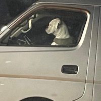 ゆ (@yuyu_acec) Twitter profile photo